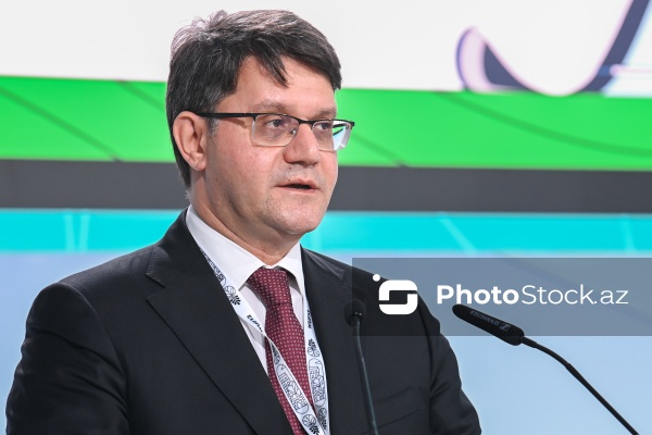 Rəşad İsmayılov - "Şəhərsalmada iqlim hədəflərinə nail olmaq üçün Strateji Ətraf Mühitin Qiymətləndirilməsi vasitə kimi" mövzusunda sessiyada