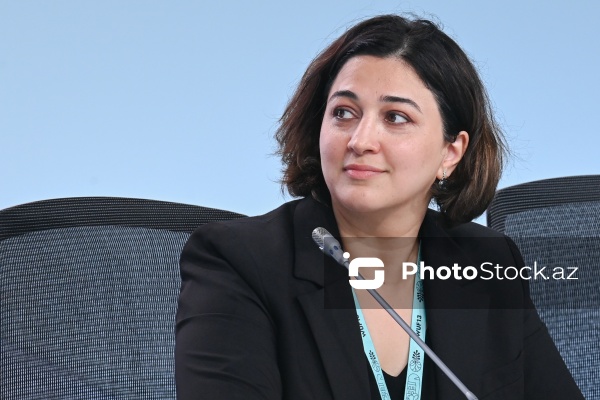 Aysel Rzayeva - "Şəhərsalmada iqlim hədəflərinə nail olmaq üçün Strateji Ətraf Mühitin Qiymətləndirilməsi vasitə kimi" mövzusunda sessiyada