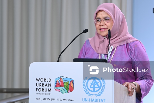 Maymuna Möhd Şərif - "Şəhərsalmada iqlim hədəflərinə nail olmaq üçün Strateji Ətraf Mühitin Qiymətləndirilməsi vasitə kimi" mövzusunda sessiyada