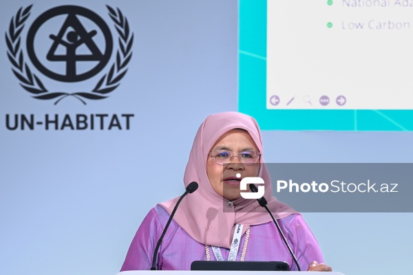 Maymuna Möhd Şərif - "Şəhərsalmada iqlim hədəflərinə nail olmaq üçün Strateji Ətraf Mühitin Qiymətləndirilməsi vasitə kimi" mövzusunda sessiyada