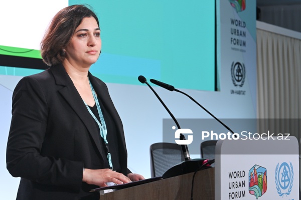 Aysel Rzayeva - "Şəhərsalmada iqlim hədəflərinə nail olmaq üçün Strateji Ətraf Mühitin Qiymətləndirilməsi vasitə kimi" mövzusunda sessiyada