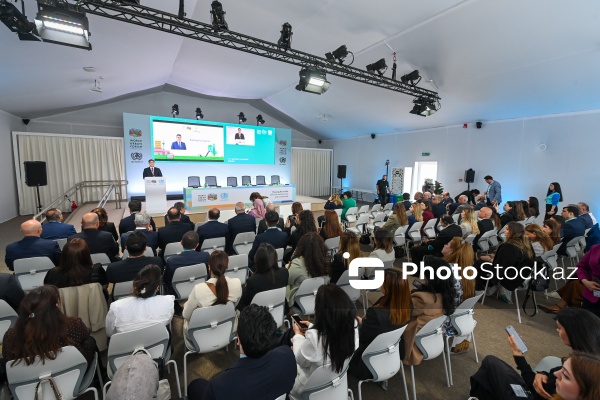 WUF13 çərçivəsində keçirilən "Şəhərsalmada iqlim hədəflərinə nail olmaq üçün Strateji Ətraf Mühitin Qiymətləndirilməsi vasitə kimi" mövzusunda sessiya