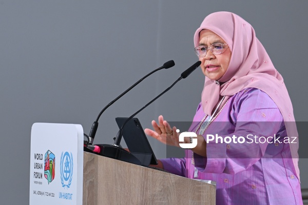 Maymuna Möhd Şərif - "Şəhərsalmada iqlim hədəflərinə nail olmaq üçün Strateji Ətraf Mühitin Qiymətləndirilməsi vasitə kimi" mövzusunda sessiyada