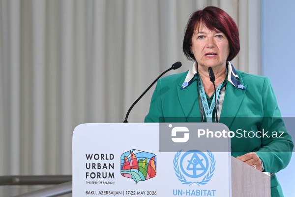 Vesna Kolar Planinşiç - "Şəhərsalmada iqlim hədəflərinə nail olmaq üçün Strateji Ətraf Mühitin Qiymətləndirilməsi vasitə kimi" mövzusunda sessiyada
