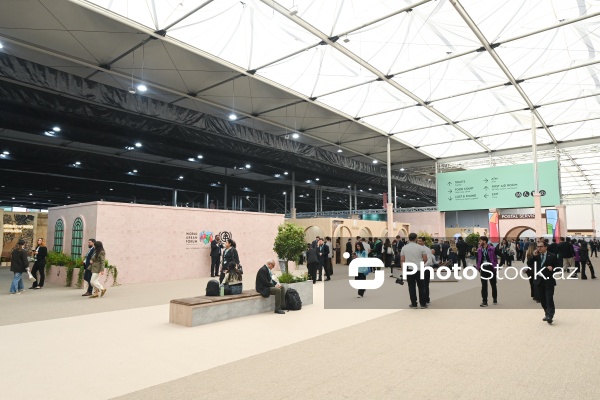WUF13-də keçirilən "Urban Expo" sərgisinin rəsmi açılış mərasimi