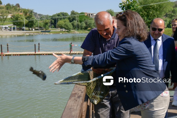 Xarici diplomatlar Həkəri çayına balıq buraxıblar