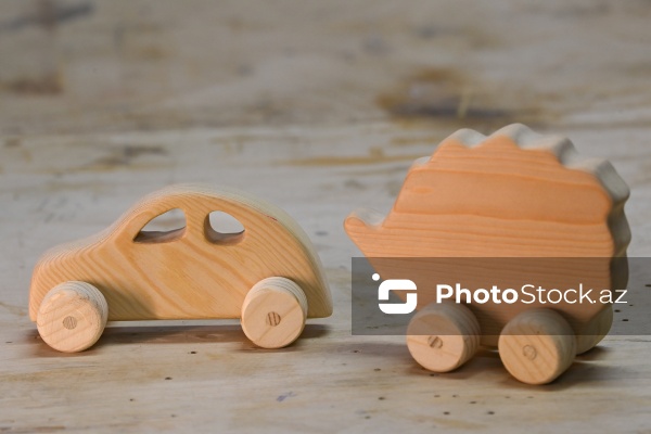 Ağac materiallarını sənətə çevirən xarrat Əziz Hüseynzadə