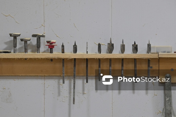 Ağac materiallarını sənətə çevirən xarrat Əziz Hüseynzadə