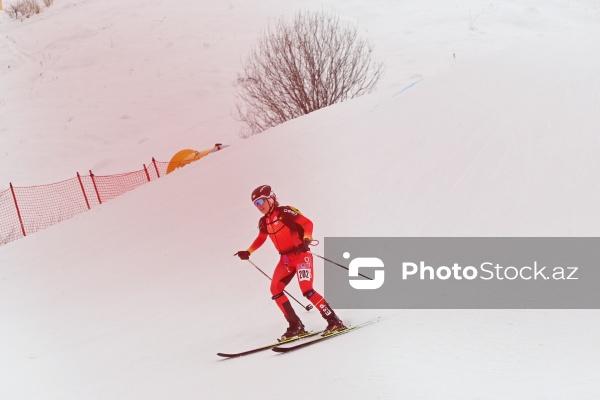 Xizək Alpinizmi üzrə Avropa Çempionatı