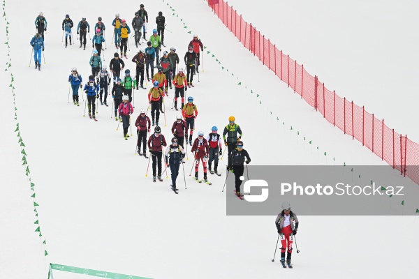Xizək Alpinizmi üzrə Avropa Çempionatı