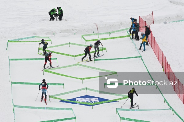 Xizək Alpinizmi üzrə Avropa Çempionatı