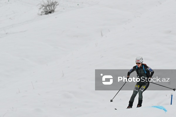 Xizək Alpinizmi üzrə Avropa Çempionatı