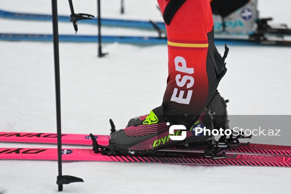 Xizək Alpinizmi üzrə Avropa Çempionatı