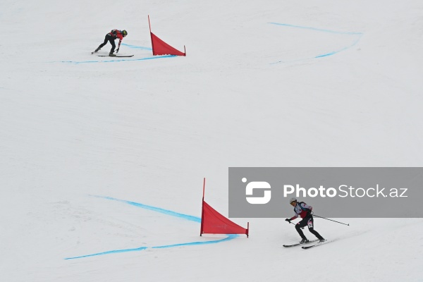 Xizək Alpinizmi üzrə Avropa Çempionatı
