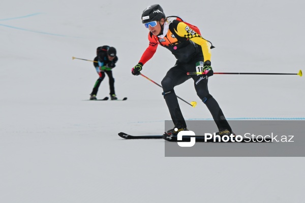 Xizək Alpinizmi üzrə Avropa Çempionatı