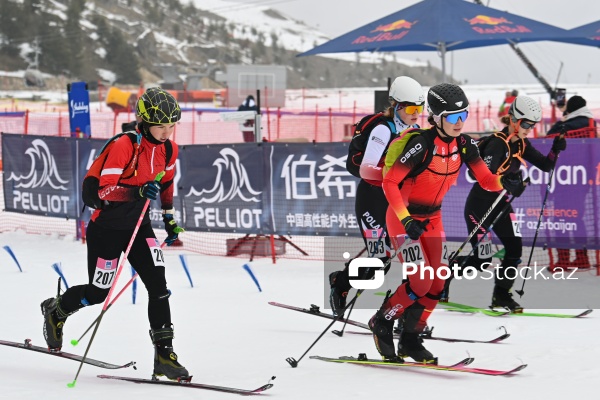 Xizək Alpinizmi üzrə Avropa Çempionatı