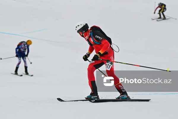 Xizək Alpinizmi üzrə Avropa Çempionatı