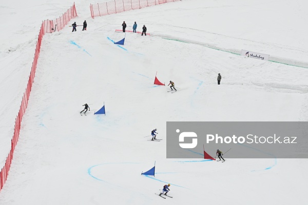 Xizək Alpinizmi üzrə Avropa Çempionatı