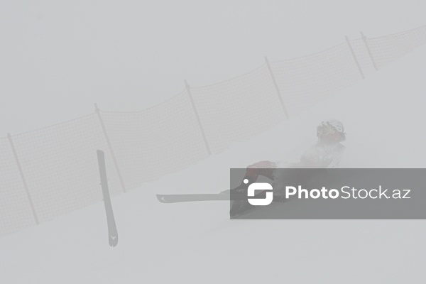 Xizək Alpinizmi üzrə Avropa Çempionatı