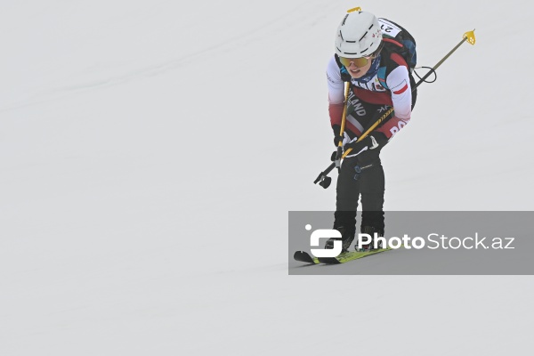 Xizək Alpinizmi üzrə Avropa Çempionatı