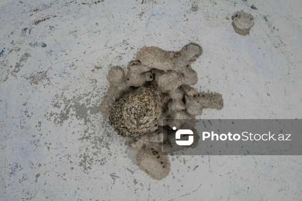 Xızı şəhərində yerləşən 1836-cı ilə aid qədim hamam