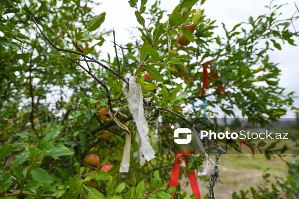 XVI-XVII əsrə aid edilən Soltan Seyid Kərim Türbəsi