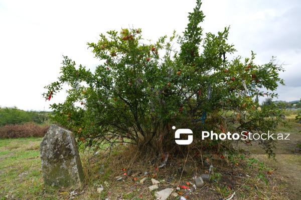 XVI-XVII əsrə aid edilən Soltan Seyid Kərim Türbəsi