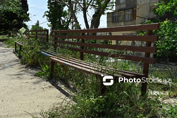 Yeni Günəşli, D massivində yerləşən baxımsız park