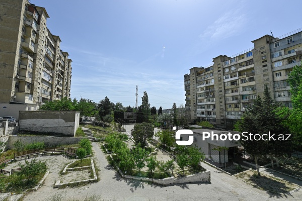 Yeni Günəşli, D massivində yerləşən baxımsız park