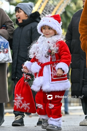 Yeni ilə bir neçə saat qalmış Bakı şəhəri