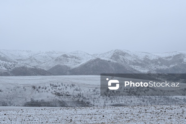 Həyatın yenidən canlandığı Ağdərə rayonu