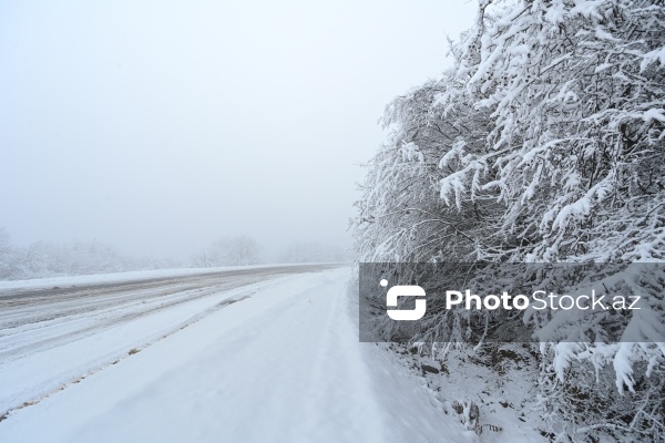 Həyatın yenidən canlandığı Ağdərə rayonu