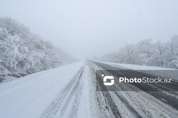 Həyatın yenidən canlandığı Ağdərə rayonu