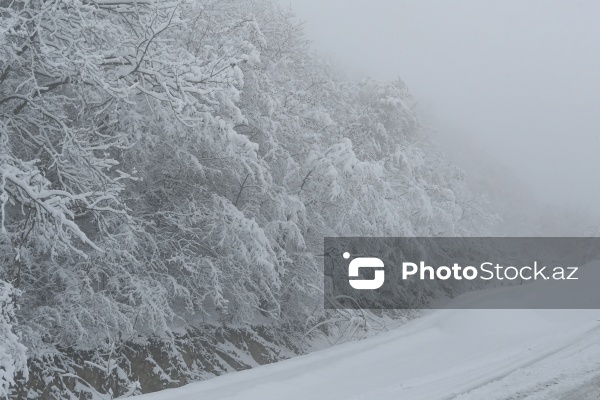 Həyatın yenidən canlandığı Ağdərə rayonu
