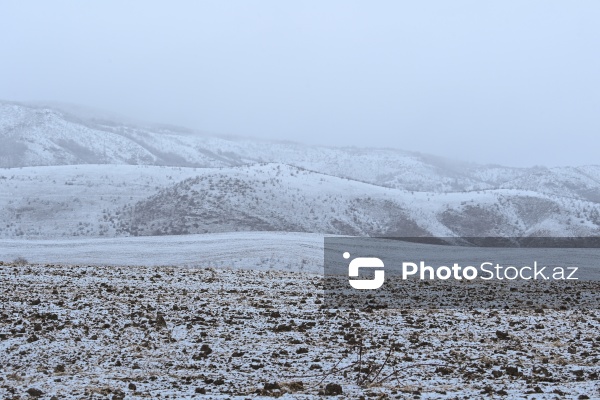 Həyatın yenidən canlandığı Ağdərə rayonu