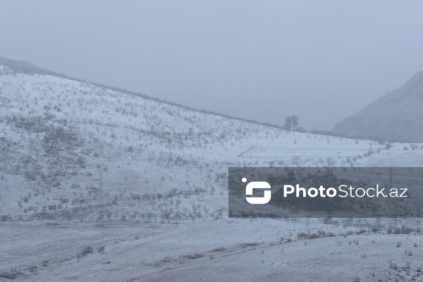 Həyatın yenidən canlandığı Ağdərə rayonu