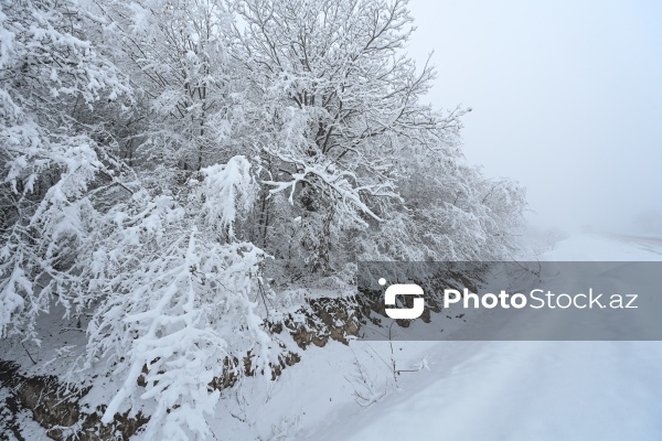 Həyatın yenidən canlandığı Ağdərə rayonu