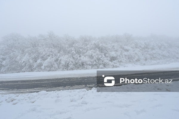 Həyatın yenidən canlandığı Ağdərə rayonu