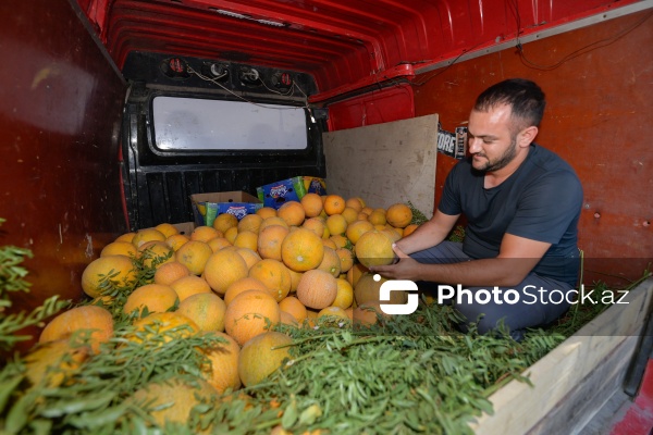 Yol kənarlarında qarpız və yemişin pərakəndə satışı