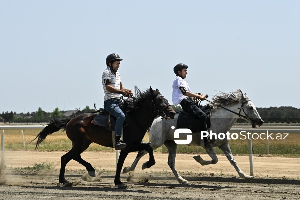Yorğa atların qaçışı üzrə Azərbaycan çempionatı