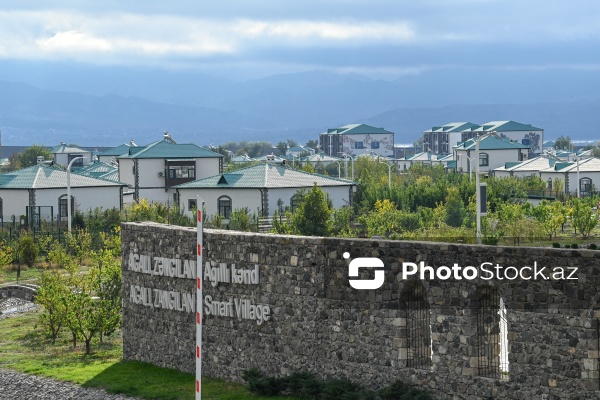 Zəngilan şəhərinə, Ağalı və Məmmədbəyli kəndlərinə təşkil olunan mediatur