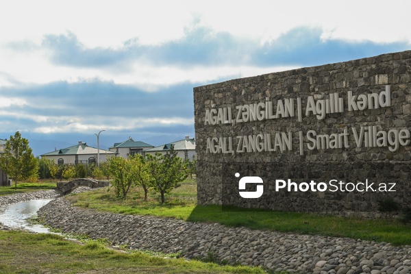 Zəngilan şəhərinə, Ağalı və Məmmədbəyli kəndlərinə təşkil olunan mediatur