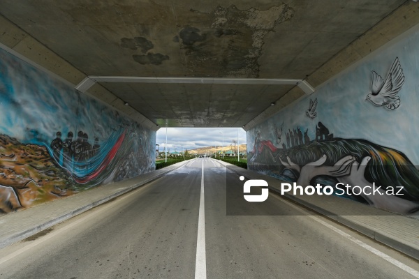 Zəngilan şəhərinə, Ağalı və Məmmədbəyli kəndlərinə təşkil olunan mediatur