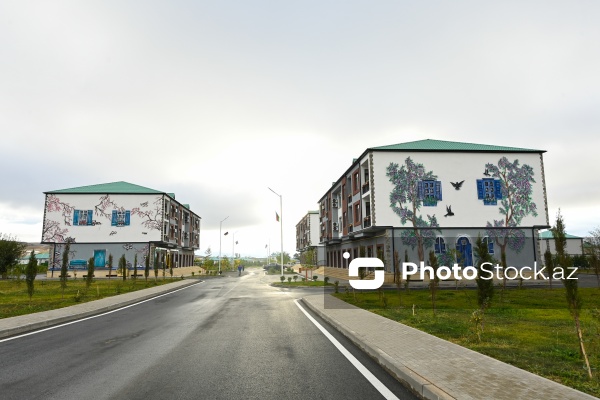 Zəngilan şəhərinə, Ağalı və Məmmədbəyli kəndlərinə təşkil olunan mediatur