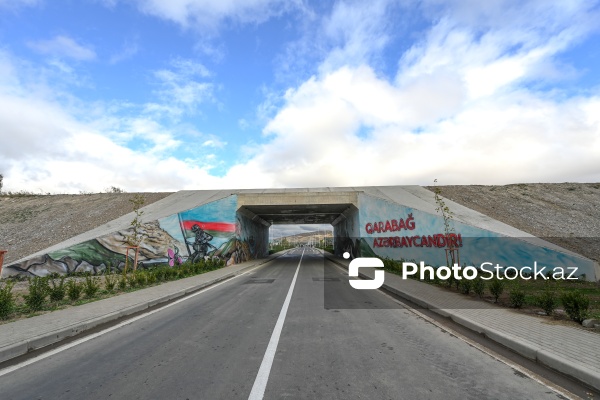 Zəngilan şəhərinə, Ağalı və Məmmədbəyli kəndlərinə təşkil olunan mediatur