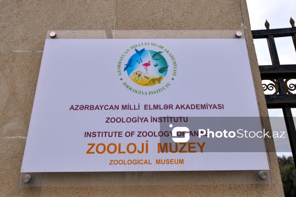 AMEA Zoologiya Muzeyi